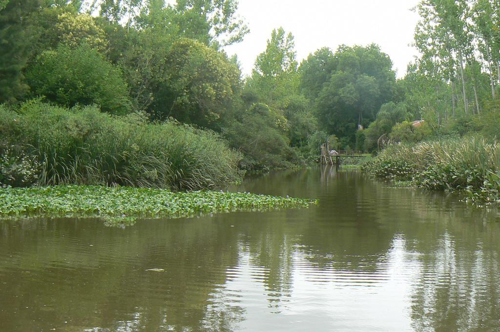 Posada Barlovento Tigre Δωμάτιο φωτογραφία