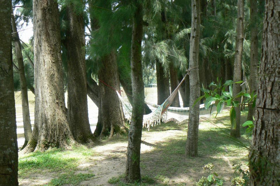 Posada Barlovento Tigre Δωμάτιο φωτογραφία