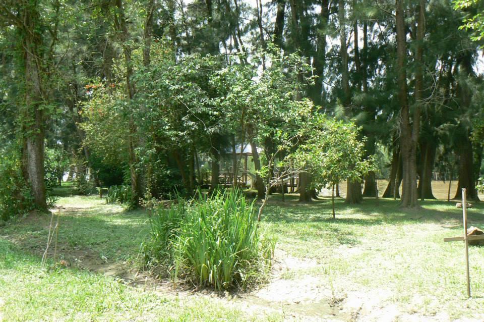 Posada Barlovento Tigre Δωμάτιο φωτογραφία