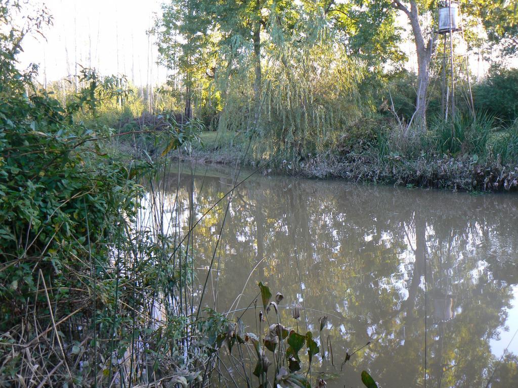 Posada Barlovento Tigre Δωμάτιο φωτογραφία