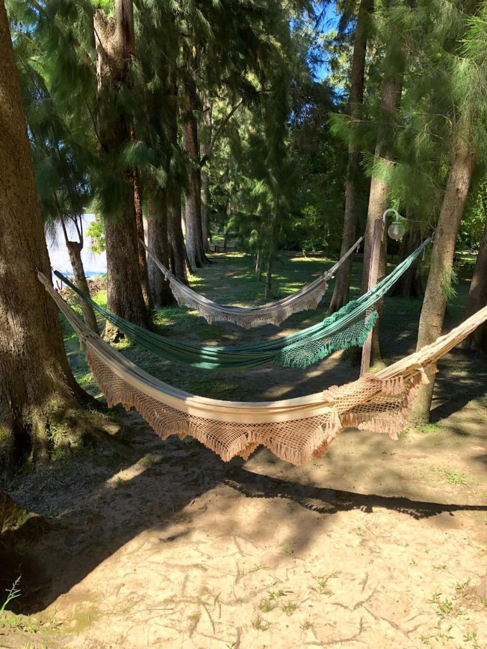Posada Barlovento Tigre Εξωτερικό φωτογραφία
